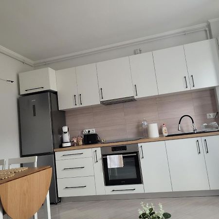 Amparo Apartment Satu Mare Exterior photo