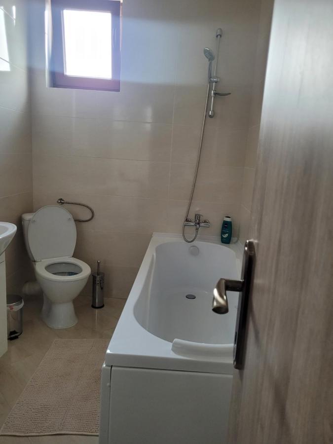 Amparo Apartment Satu Mare Exterior photo