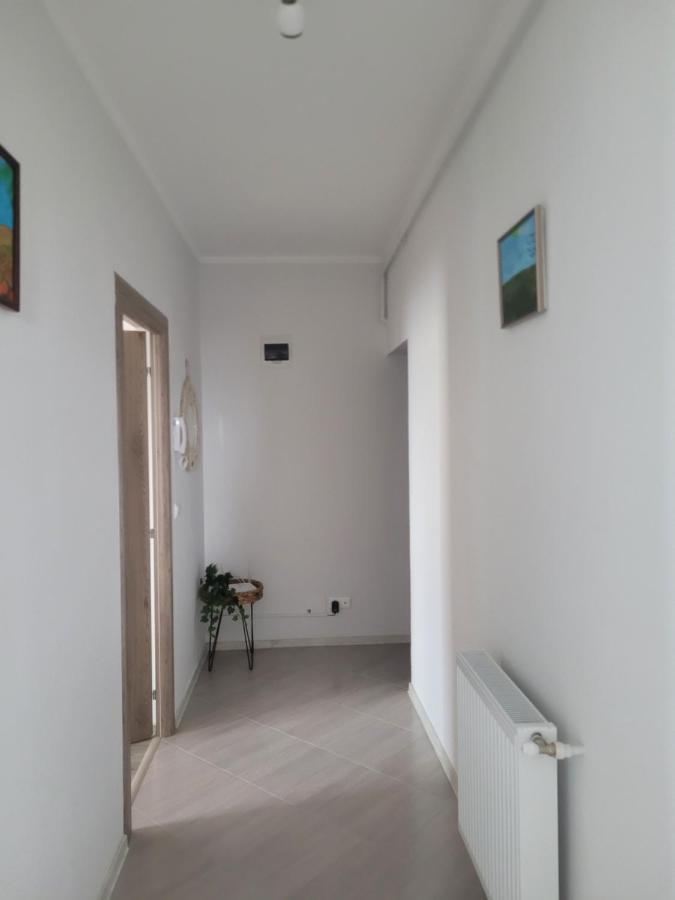 Amparo Apartment Satu Mare Exterior photo