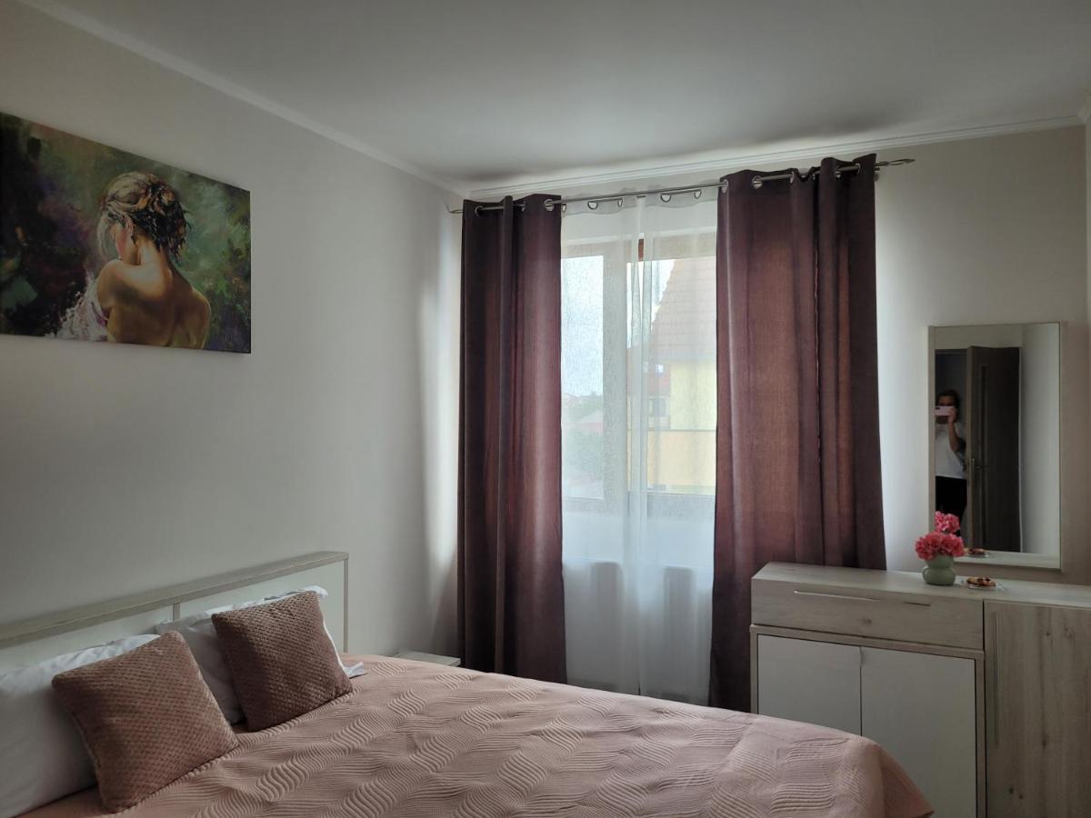 Amparo Apartment Satu Mare Exterior photo
