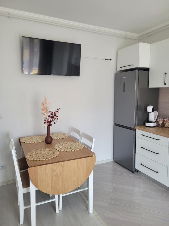 Amparo Apartment Satu Mare Exterior photo