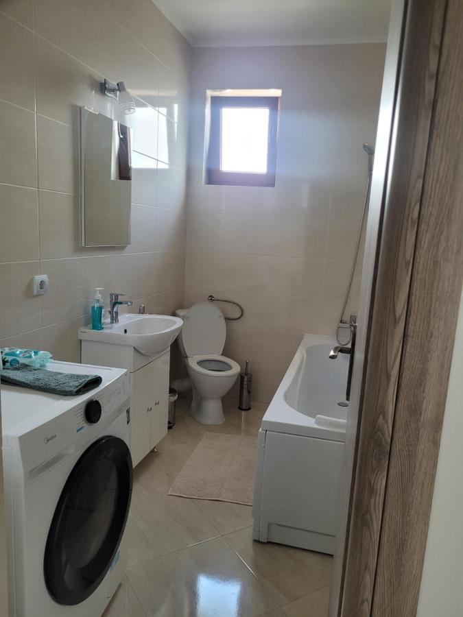 Amparo Apartment Satu Mare Exterior photo