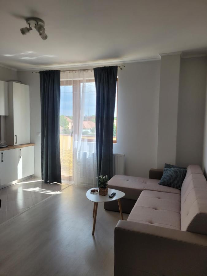 Amparo Apartment Satu Mare Exterior photo