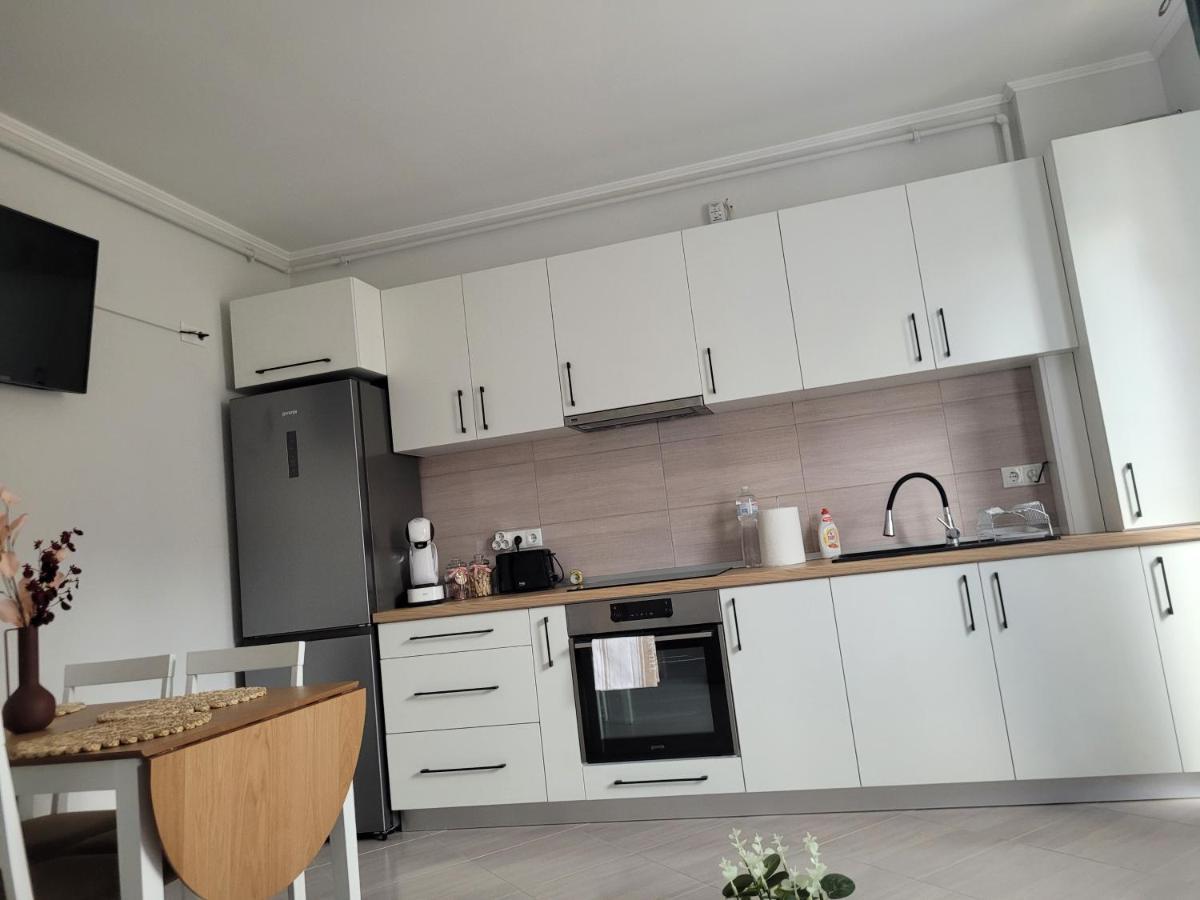 Amparo Apartment Satu Mare Exterior photo