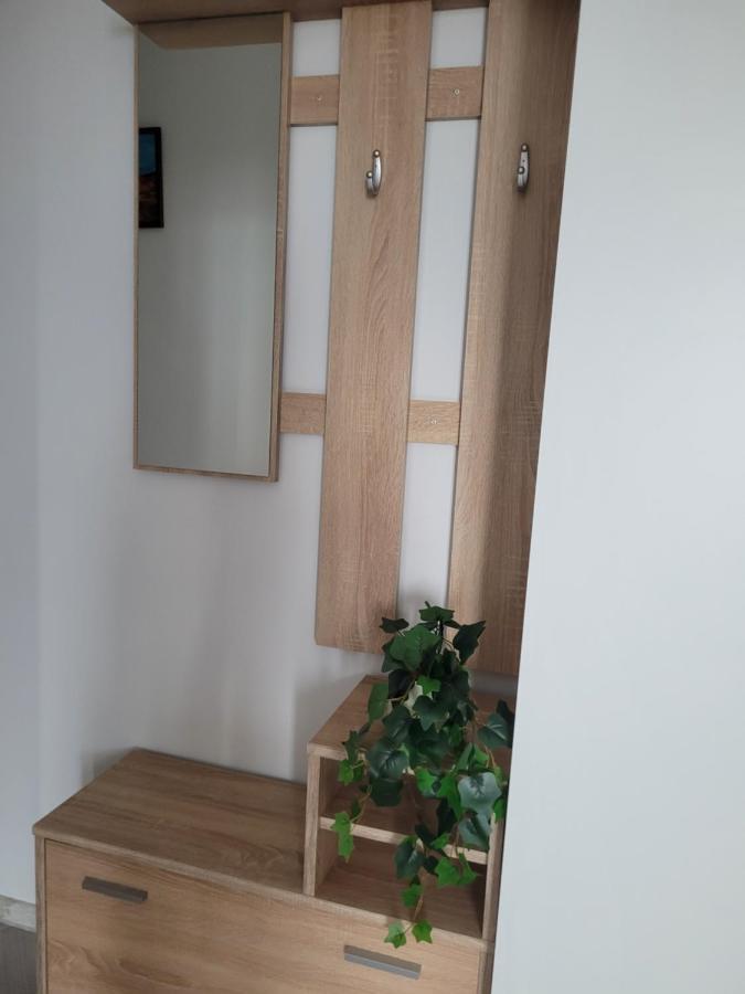 Amparo Apartment Satu Mare Exterior photo